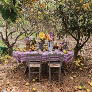 Lemon Grove Tour and Lunch/Dinner