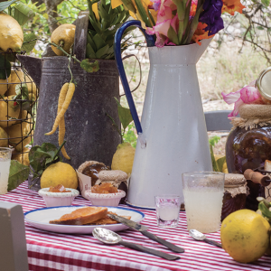 Lemon Grove Tour and Tasting